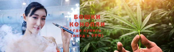 спайс Бородино