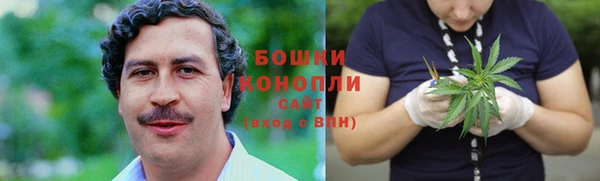 спайс Бородино